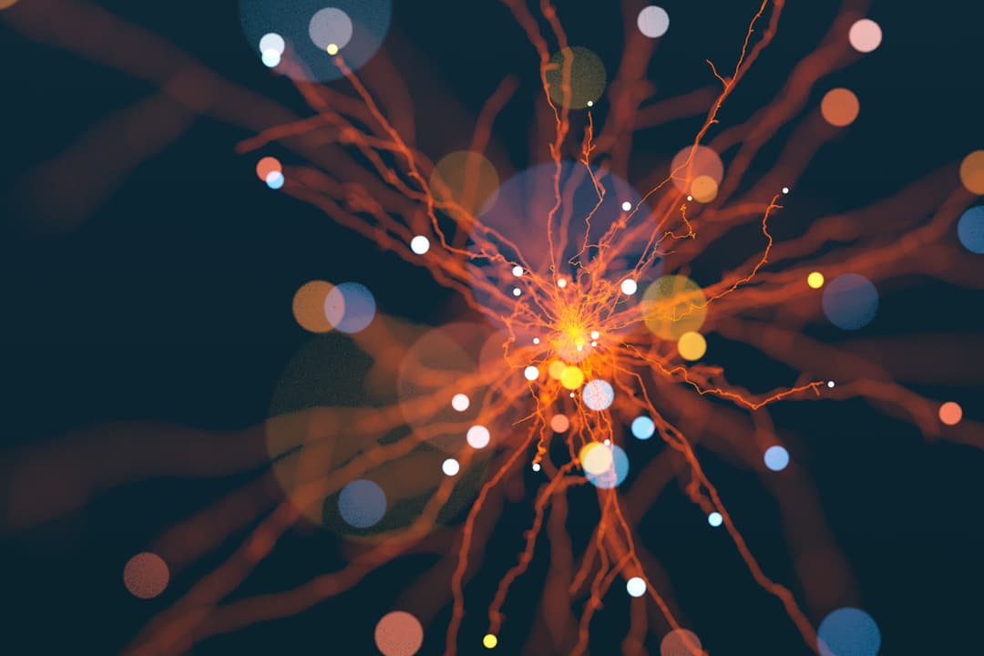 This is the alt text 3